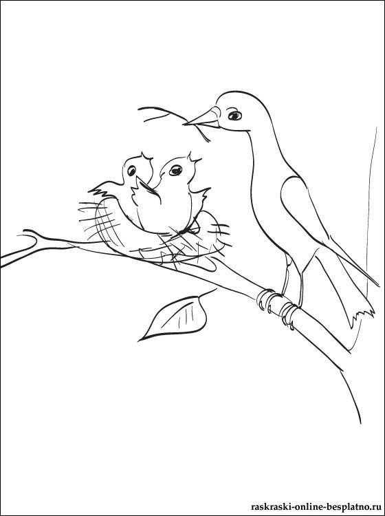 Картинка гніздо розфарбування для дітей 019