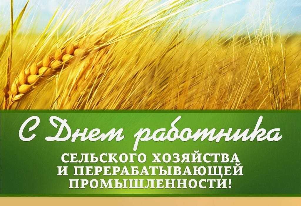 Друга неділя жовтня День працівників сільського господарства і переробної промисловості 009