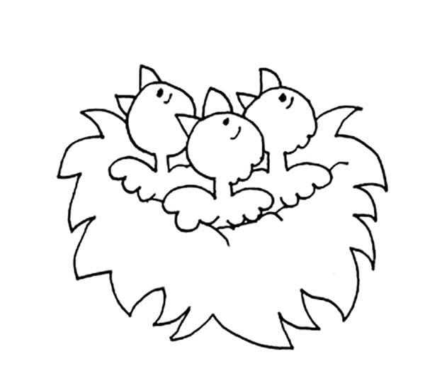 Картинка гніздо розфарбування для дітей 014