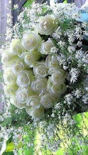 Красиві білі троянди на день народження 012