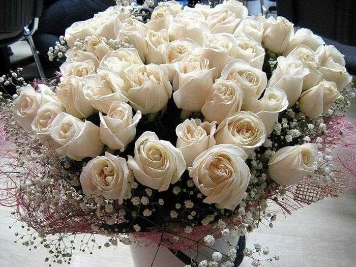 Красиві білі троянди на день народження 007