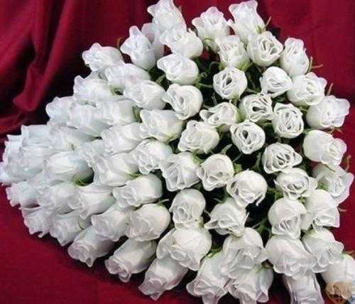 Красиві білі троянди на день народження 016