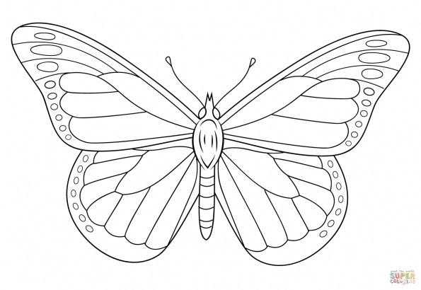 Монарх метелик розфарбування для дітей 022