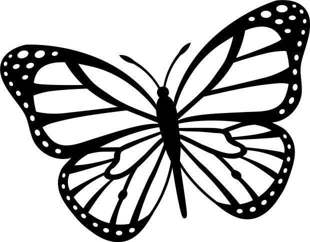 Монарх метелик розфарбування для дітей 002