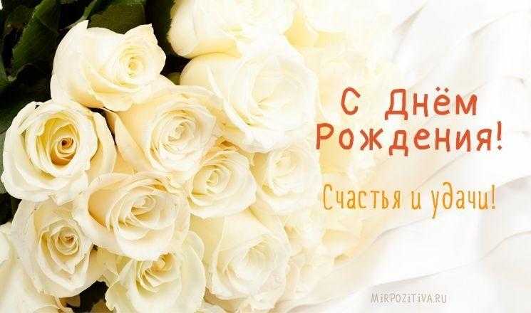 Красиві білі троянди на день народження 011