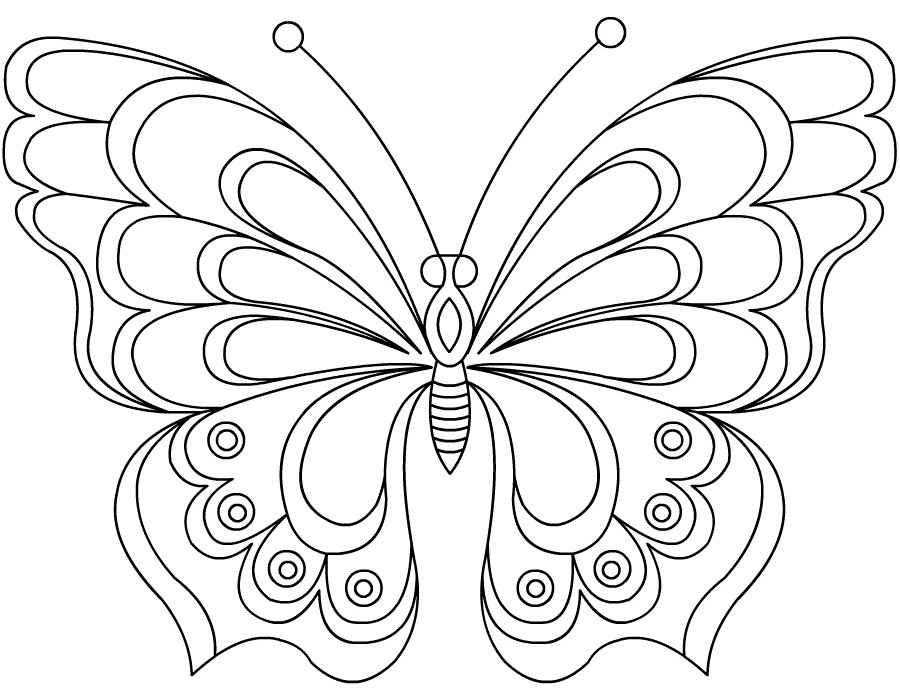 Монарх метелик розфарбування для дітей 021