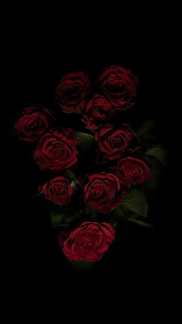 Шпалери червоні троянди на айфон 015