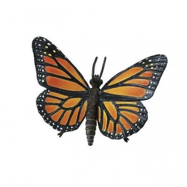Монарх метелик розфарбування для дітей 013