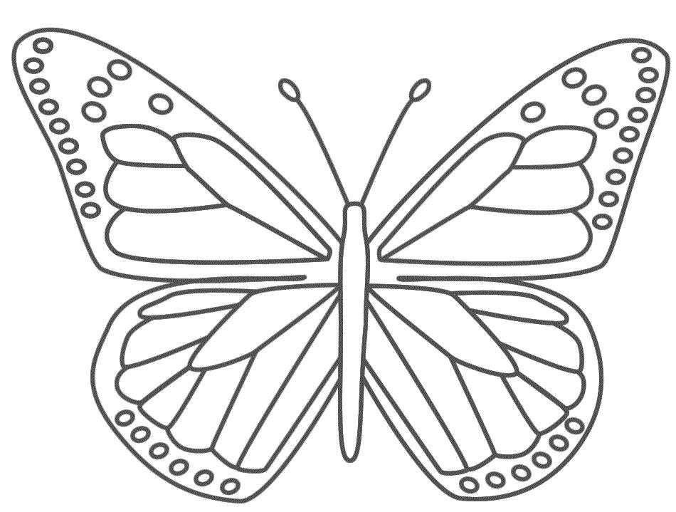 Монарх метелик розфарбування для дітей 008