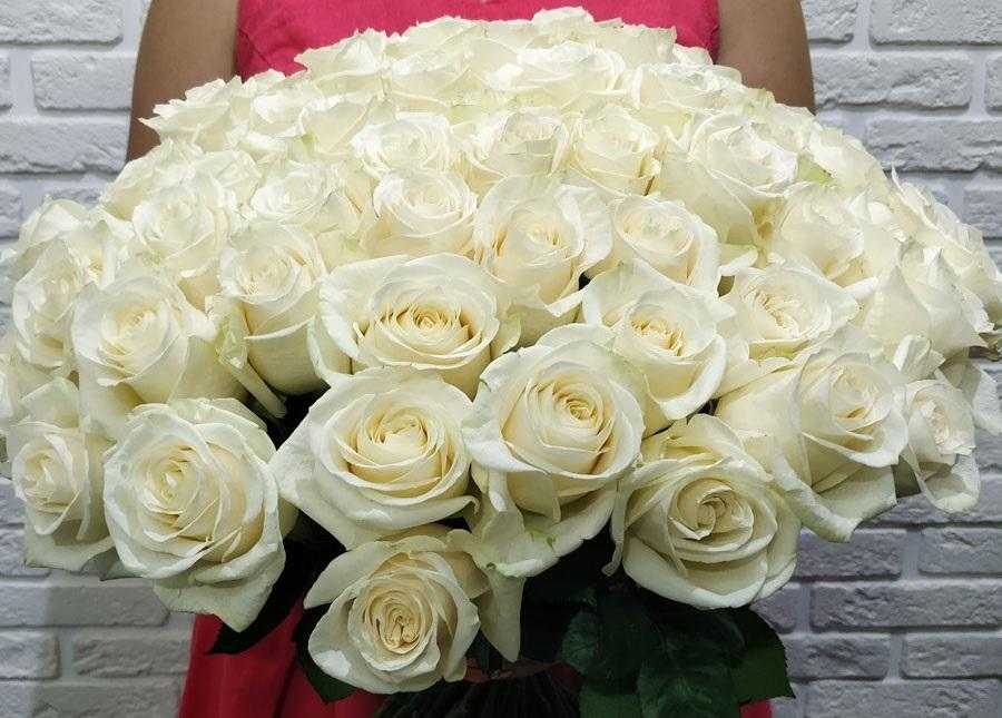 Красиві білі троянди на день народження 004