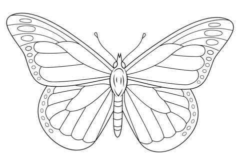 Монарх метелик розфарбування для дітей 001