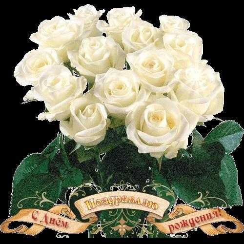 Красиві білі троянди на день народження 006