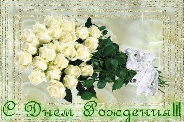 Красиві білі троянди на день народження 018