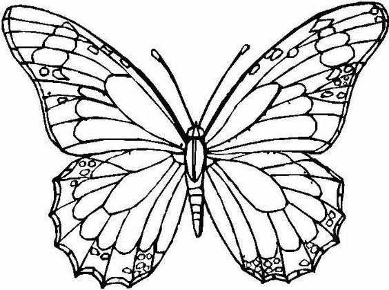 Монарх метелик розфарбування для дітей 010