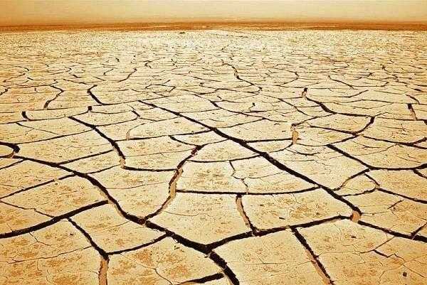 Всемирный день по борьбе с опустыниванием и засухой 002