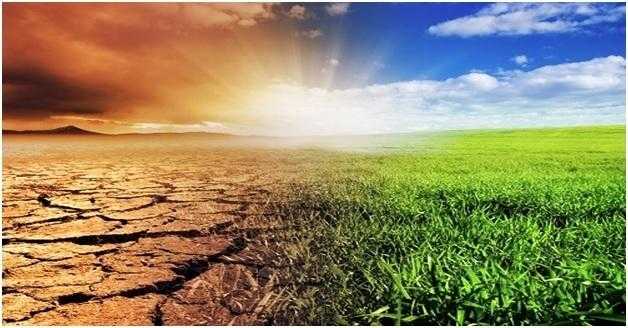 Всемирный день по борьбе с опустыниванием и засухой 008