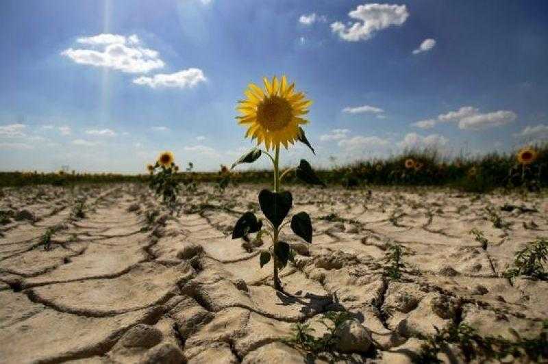 Всемирный день по борьбе с опустыниванием и засухой 015