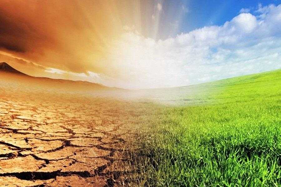 Всемирный день по борьбе с опустыниванием и засухой 010