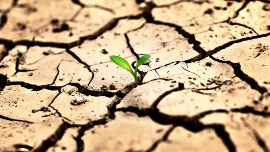 Всемирный день по борьбе с опустыниванием и засухой 005