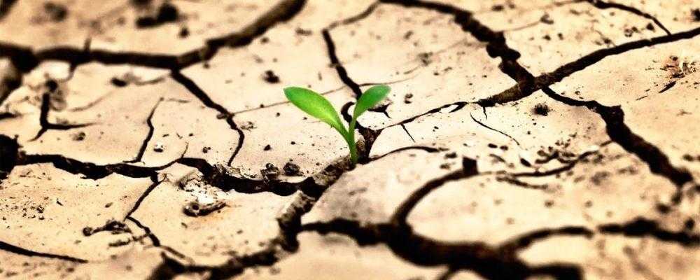 Всемирный день по борьбе с опустыниванием и засухой 013