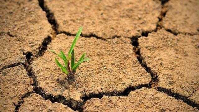 Всемирный день по борьбе с опустыниванием и засухой 016