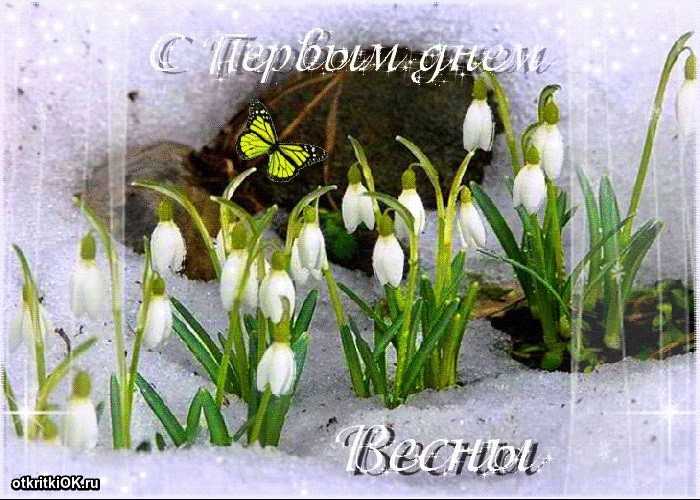 1 марта Первый день Весны 019
