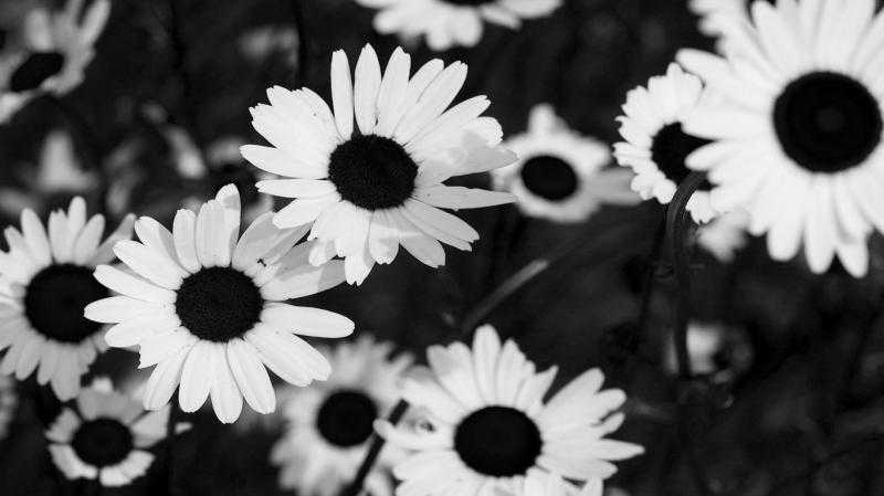 Чёрно-белые картинки из Tumblr (40 ФОТО)