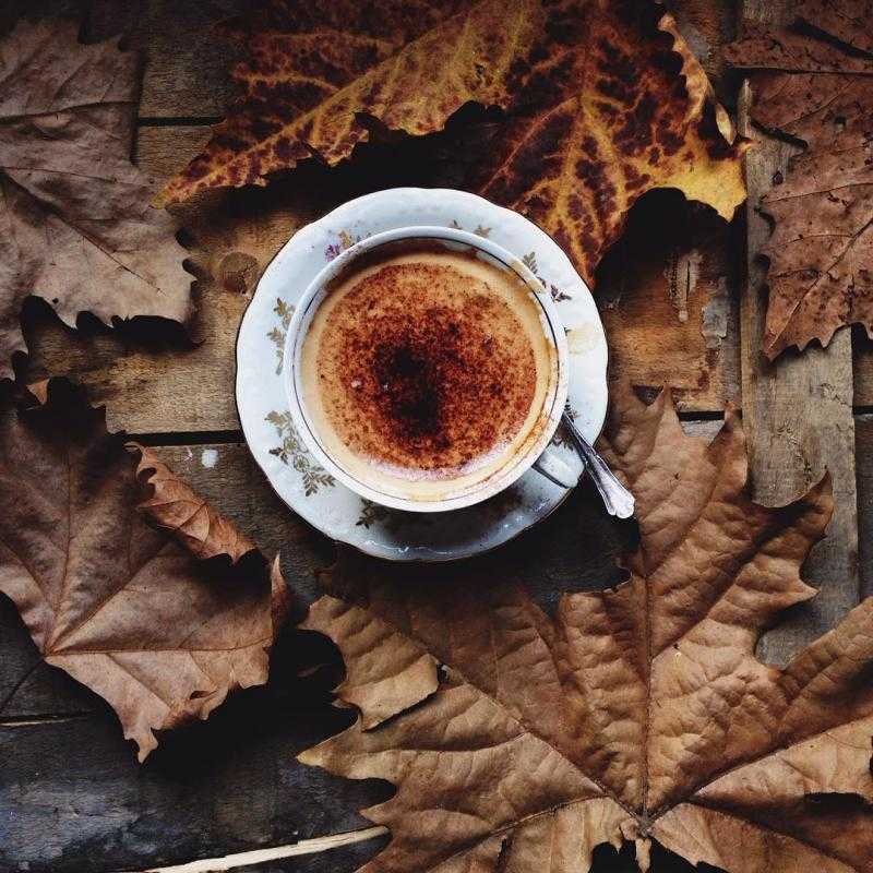 Картинки про осень и кофе (35 фото)