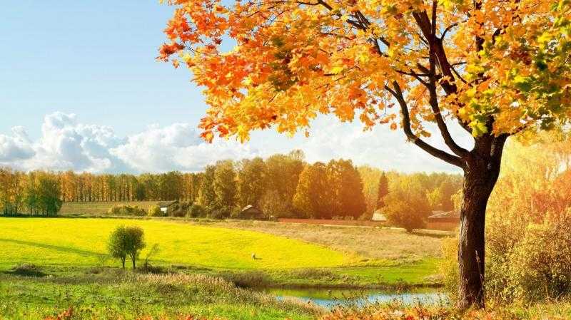 Картинки на рабочий стол про осень, природу (64 фото)