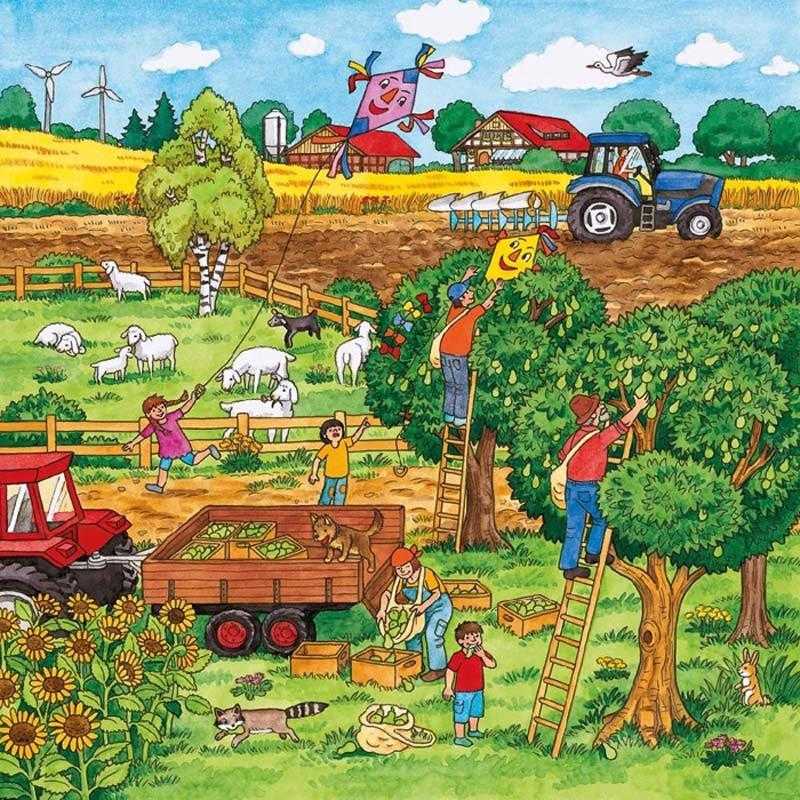 Картинки урожая для детей (50 фото)