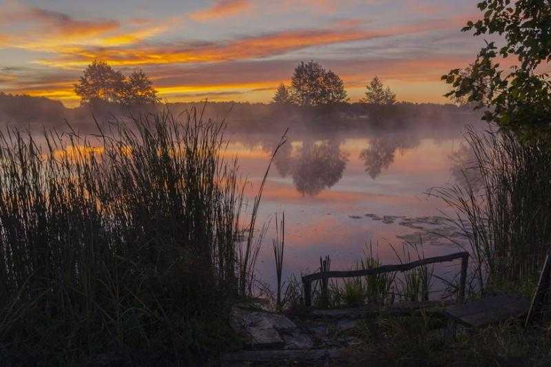Картинки осеннего утра (35 фото)