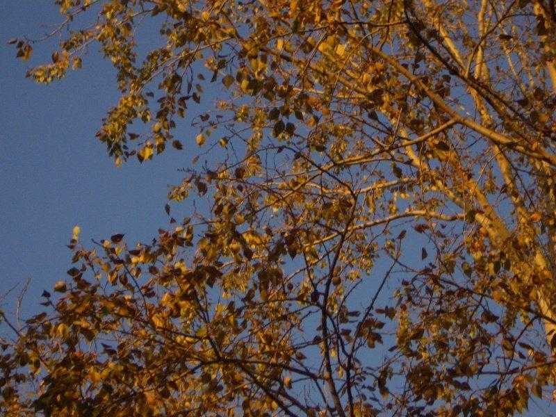 Картинки осеннего неба (35 фото)