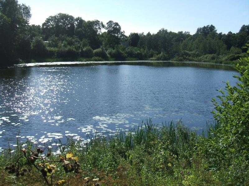 Картинка с озером для детей (30 фото)