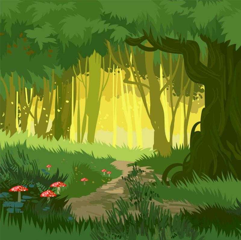 Картинки волшебного леса (41 ФОТО)