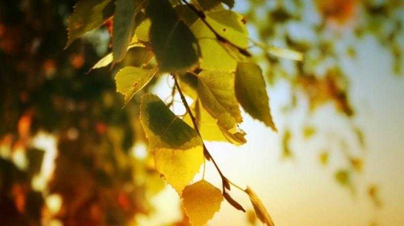 Картинки бабьего лета осенью (35 фото)
