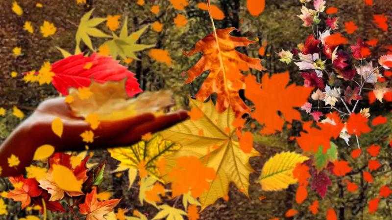 Картинки бабьего лета осенью (35 фото)