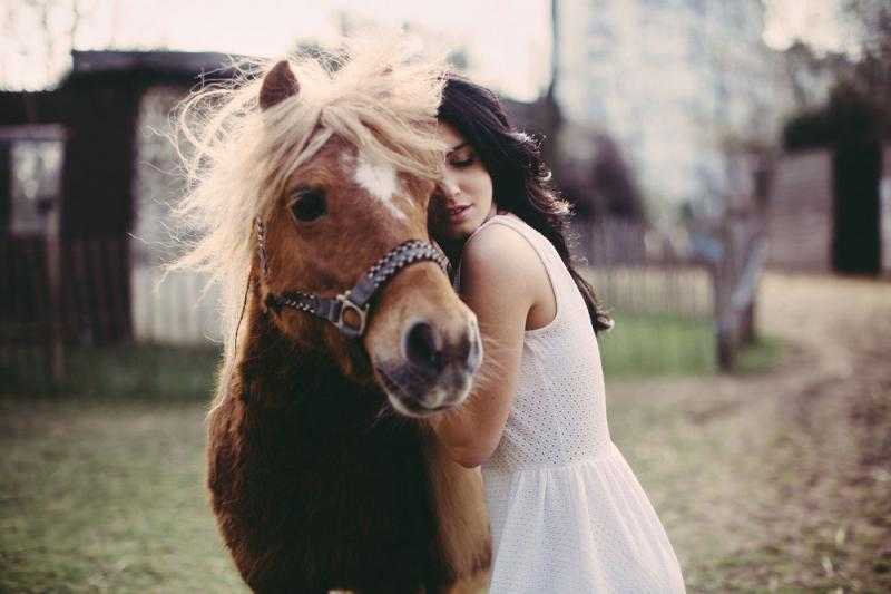 Красивые картинки с девушками и лошадками на аву (41 фото)