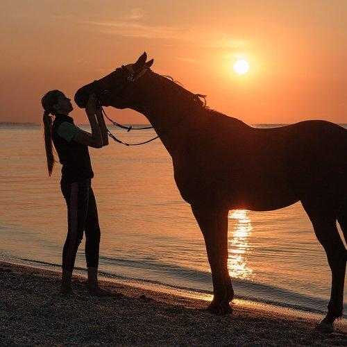 Красивые картинки с девушками и лошадками на аву (41 фото)