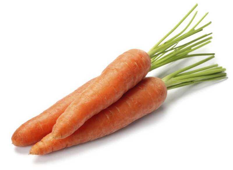 Морковь Джерада f1