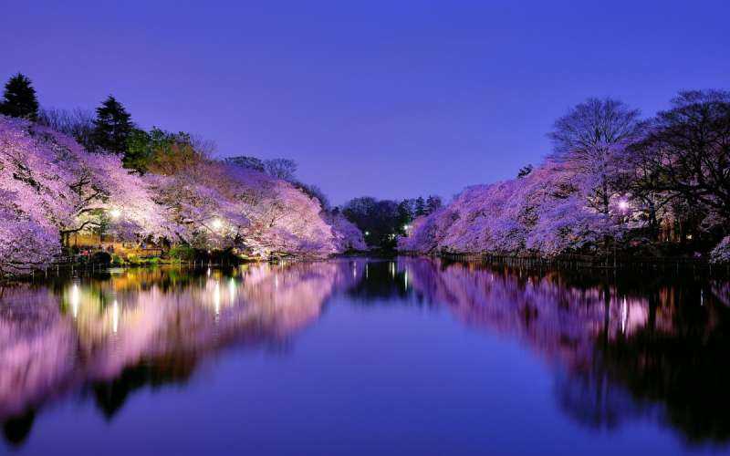 Япония парки пруд Osaka