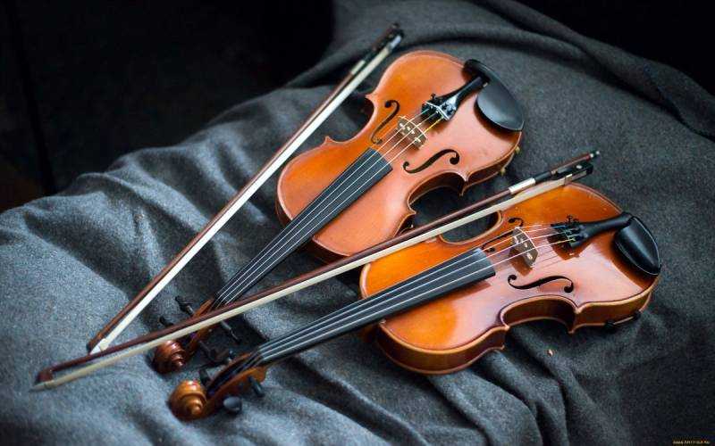 Скрипка Виолина