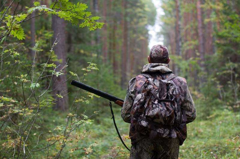 Охота в лесу