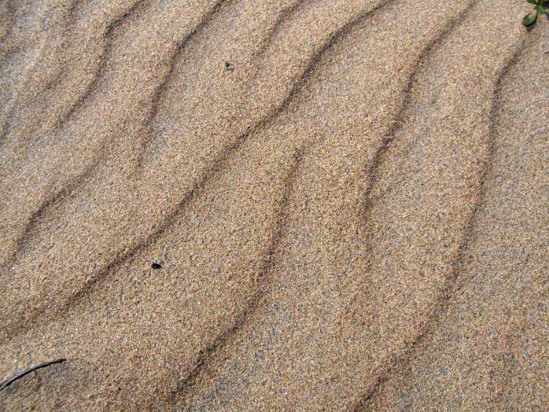 Песок Речной намывной