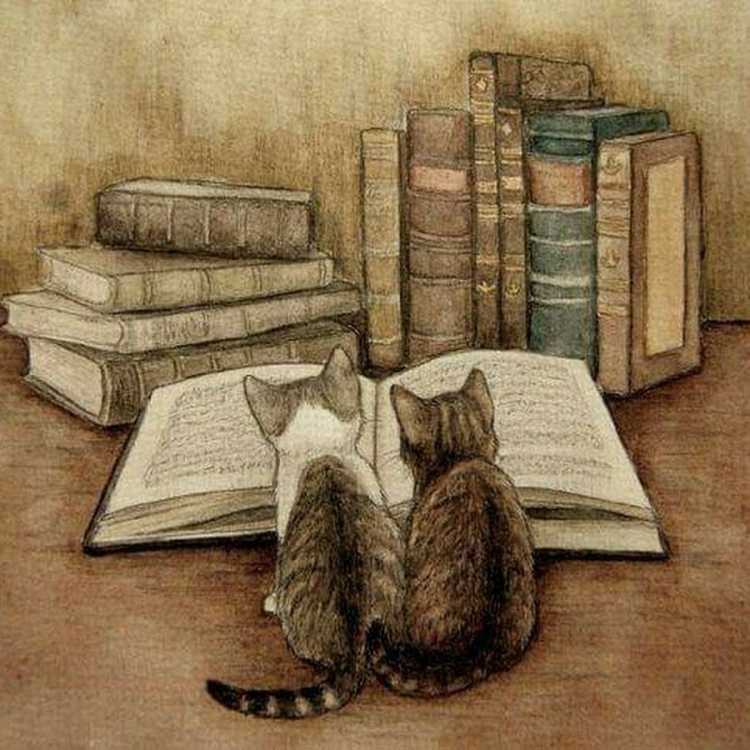 Котик с книжкой арт