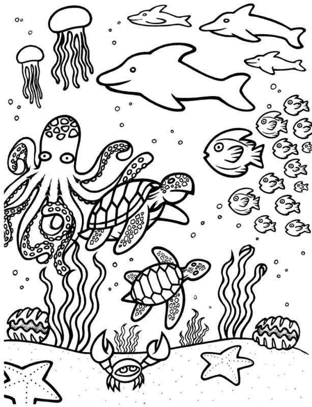 Раскраска "подводный мир"