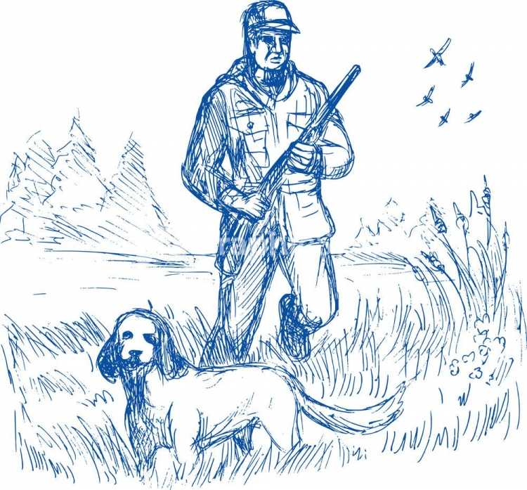 Нарисовать охотничью собаку
