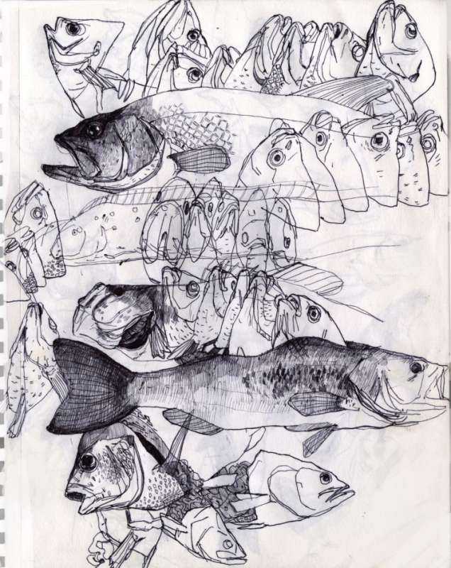 Рыба в графике