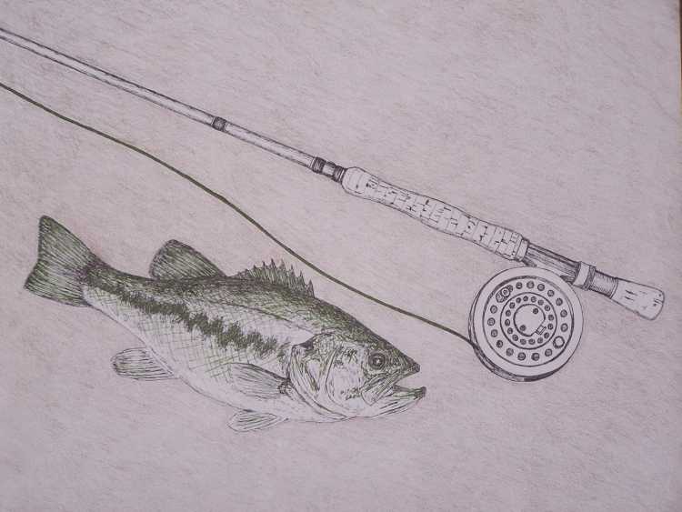 Рыбалка для срисовки