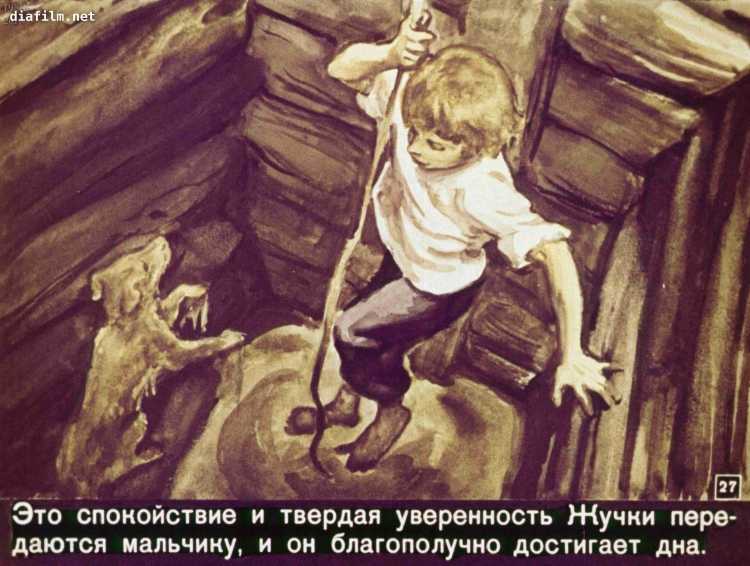 Гарин-Михайловский тема и жучка иллюстрации