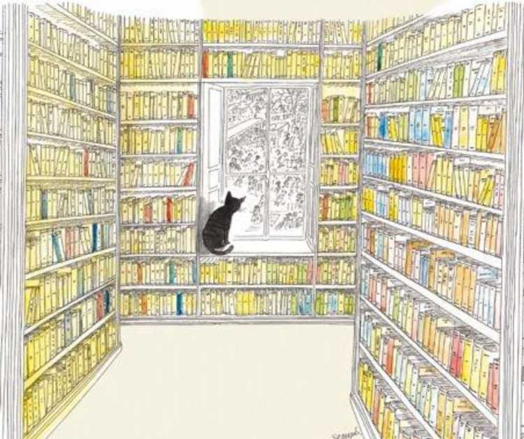 Книжный магазин рисунок